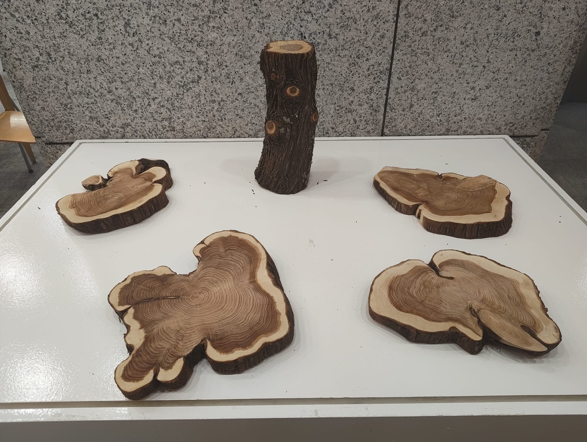 Panel de Sentidos - Experiencia sensorial de olfato y tacto. Piezas en madera natural por Sanas